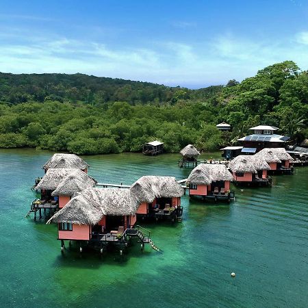 Eclypse De Mar Acqua Lodge Bastimentos Luaran gambar