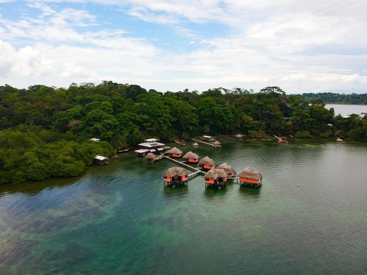 Eclypse De Mar Acqua Lodge Bastimentos Luaran gambar
