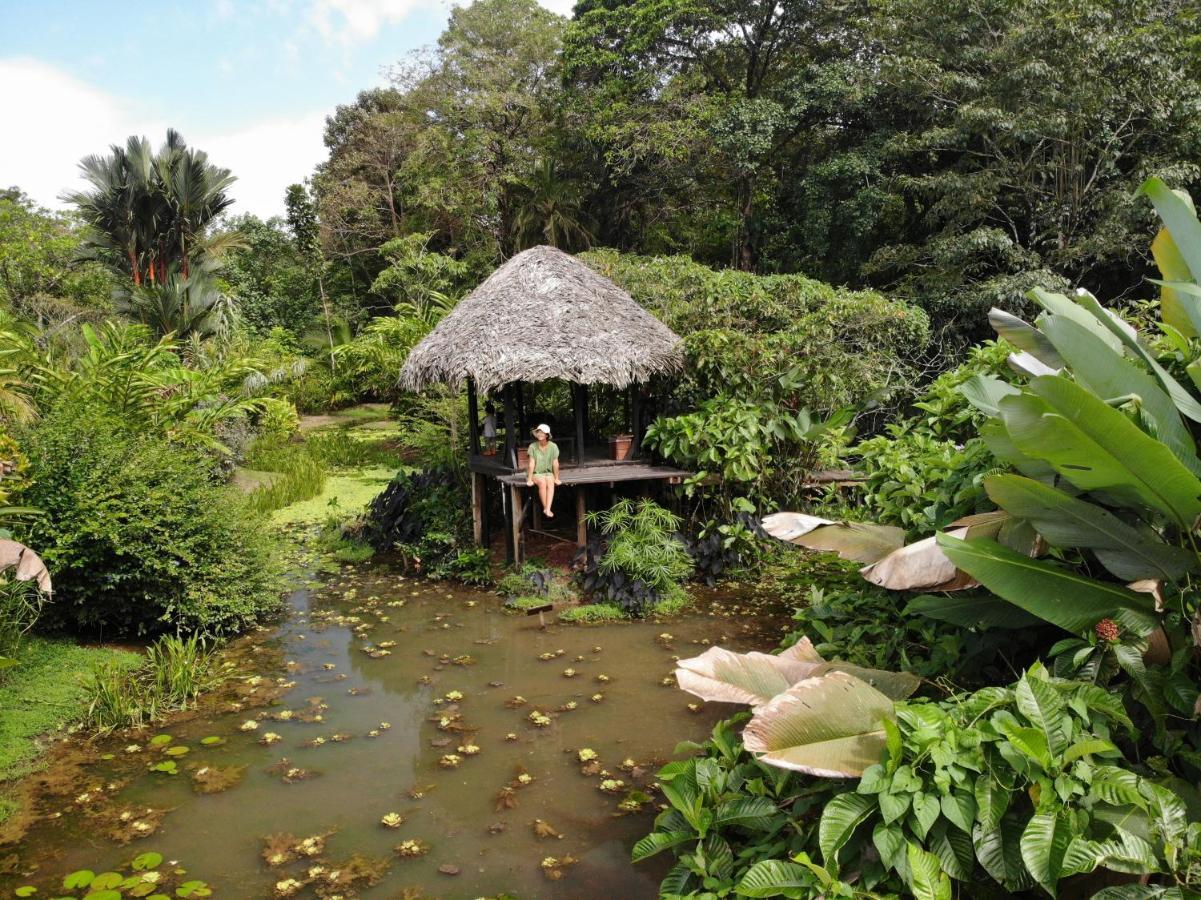 Eclypse De Mar Acqua Lodge Bastimentos Luaran gambar
