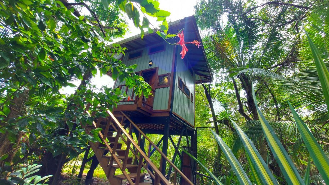Eclypse De Mar Acqua Lodge Bastimentos Luaran gambar