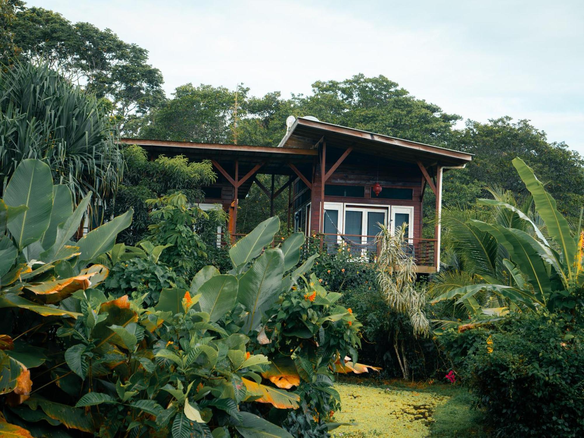 Eclypse De Mar Acqua Lodge Bastimentos Bilik gambar